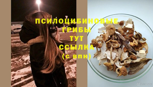 бошки Фурманов