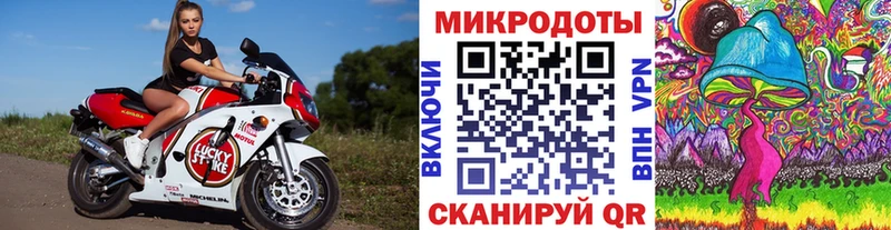 Псилоцибиновые грибы Cubensis  Ленинградская 